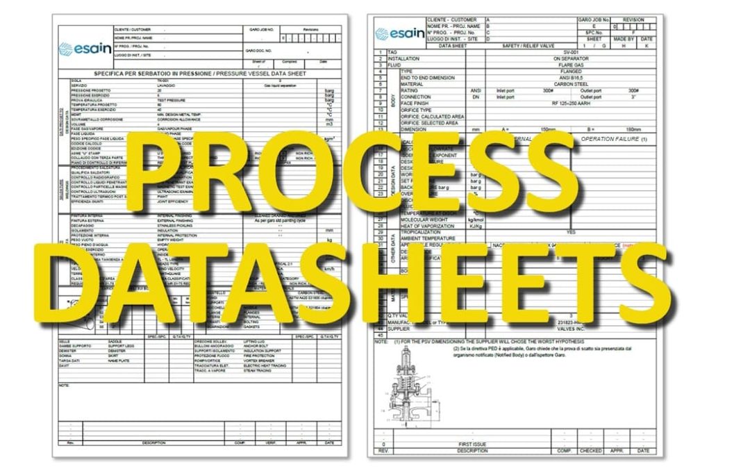 Cosa sono e a cosa servono i process datasheets